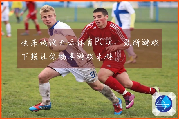 快来试试开云体育PC端，最新游戏下载让你畅享游戏乐趣！