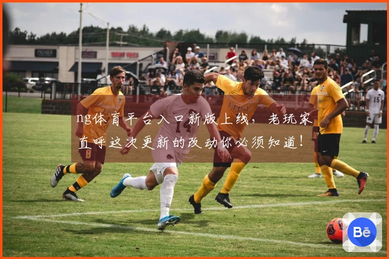 ng体育平台入口新版上线，老玩家直呼这次更新的改动你必须知道！