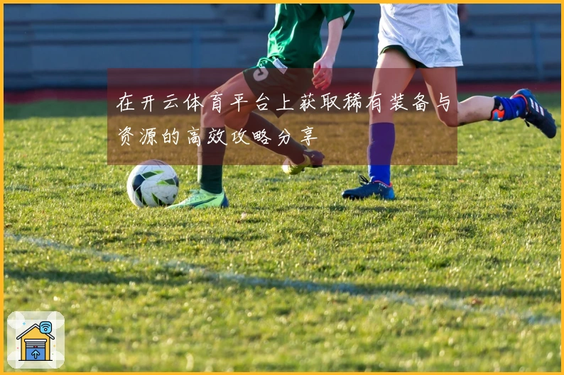在开云体育平台上获取稀有装备与资源的高效攻略分享