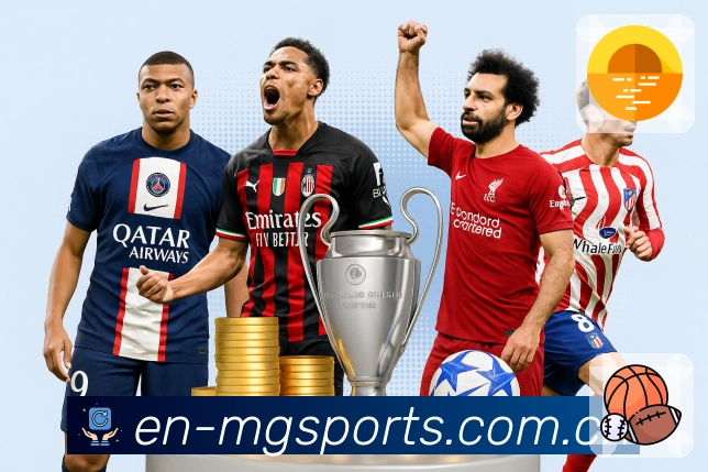 满冠体育APP 封面图